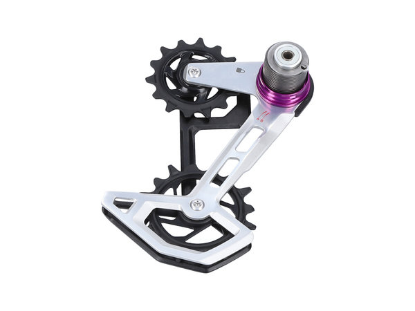 sram-xx-t-type-eagle-axs-transmission-schaltwerkkaefig.jpg